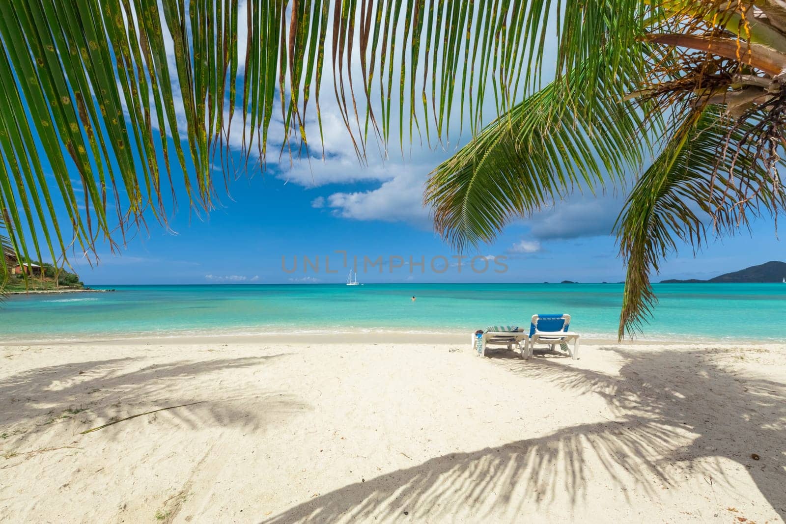 Tropical beach