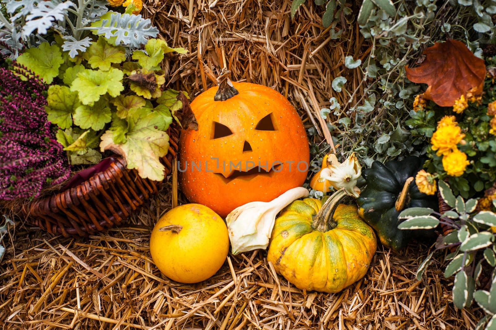 Halloween ornament with a jack-o-lantern