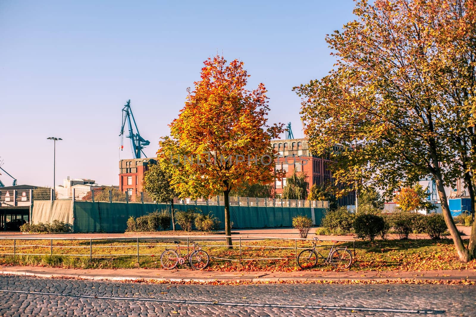 Autumn scenery at a city location