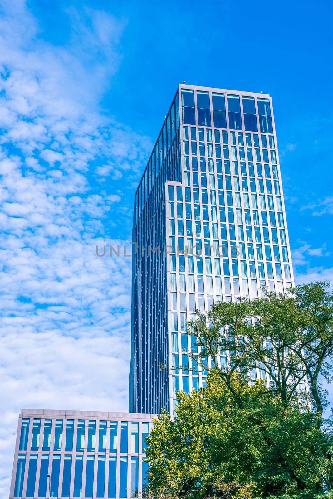 Tall building surrounded by green nature