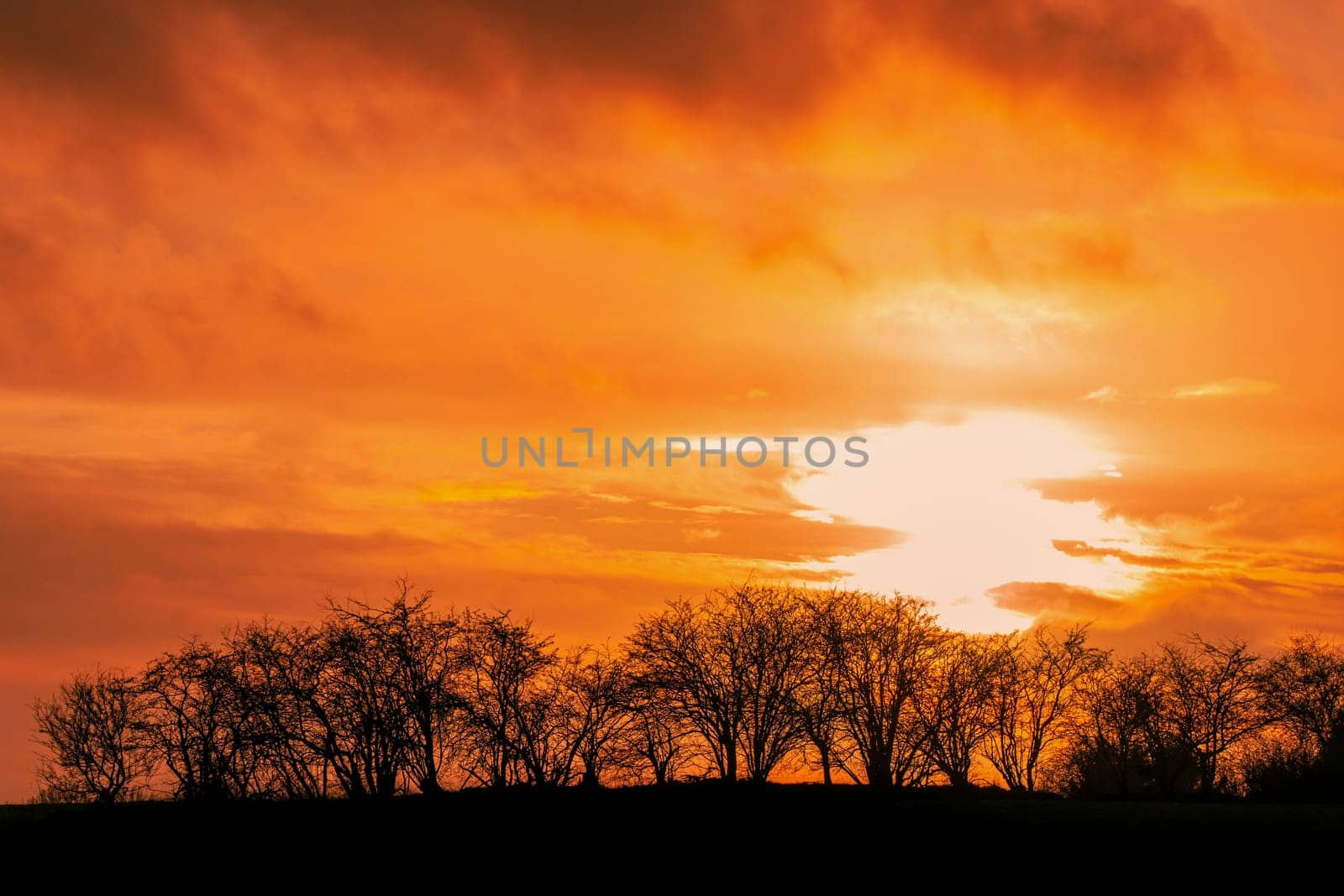 Sunset with tree silhouttes