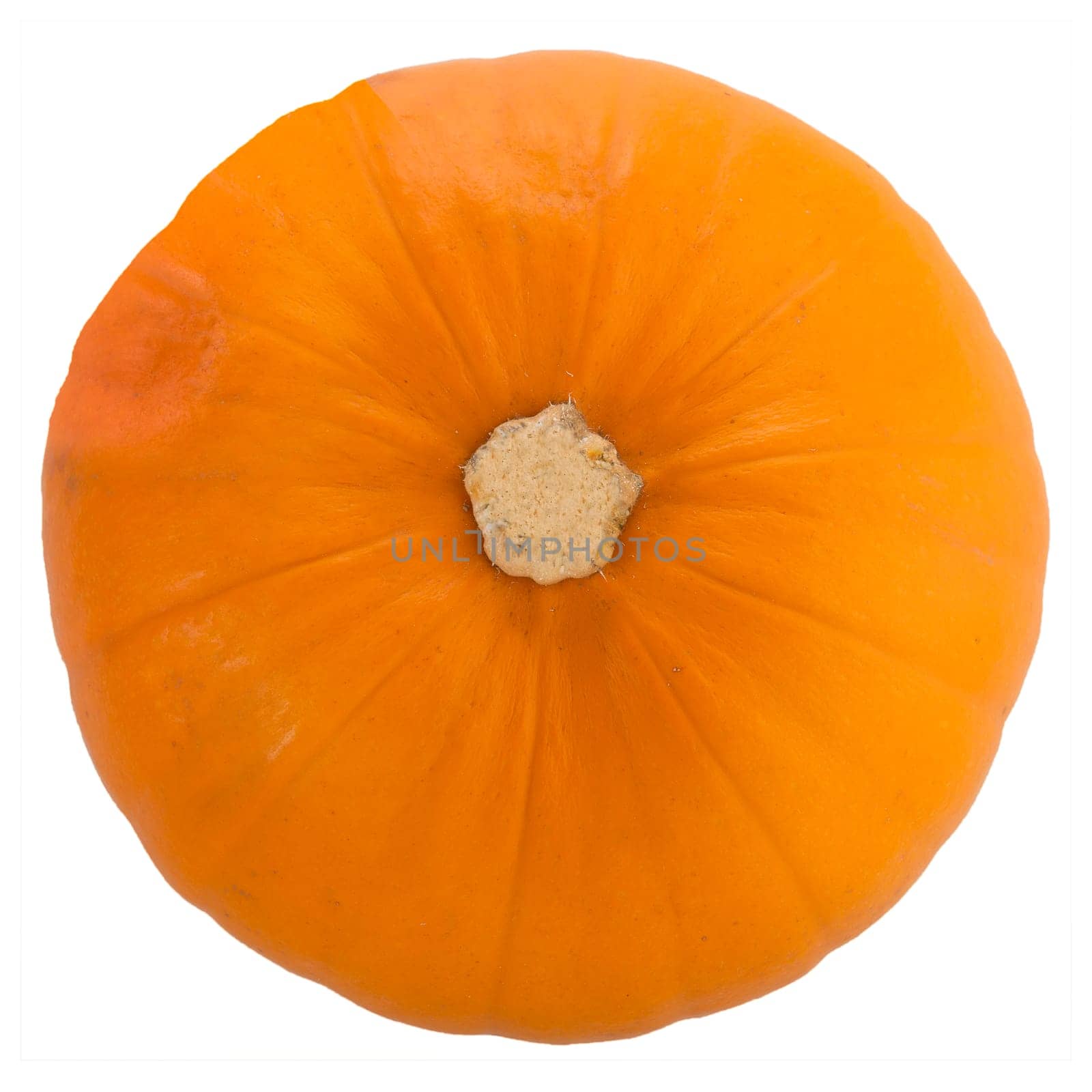 Pumpkin from above isolated