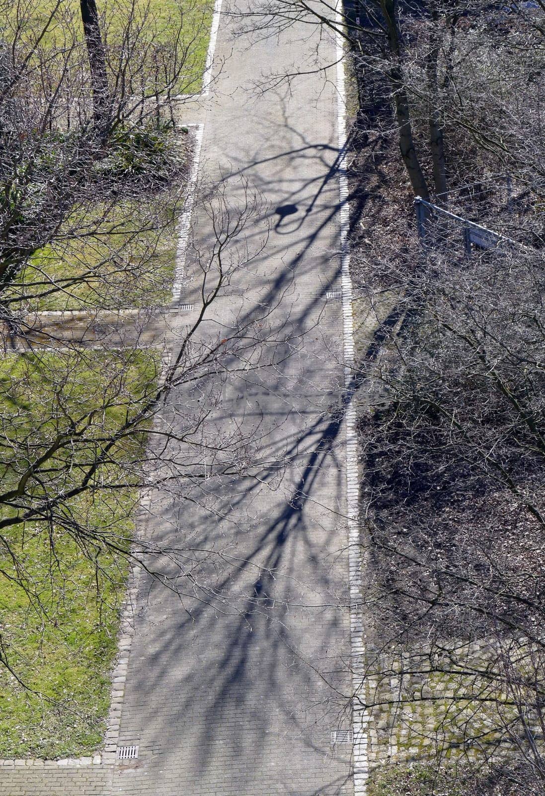 Green area in winter in the aerial view