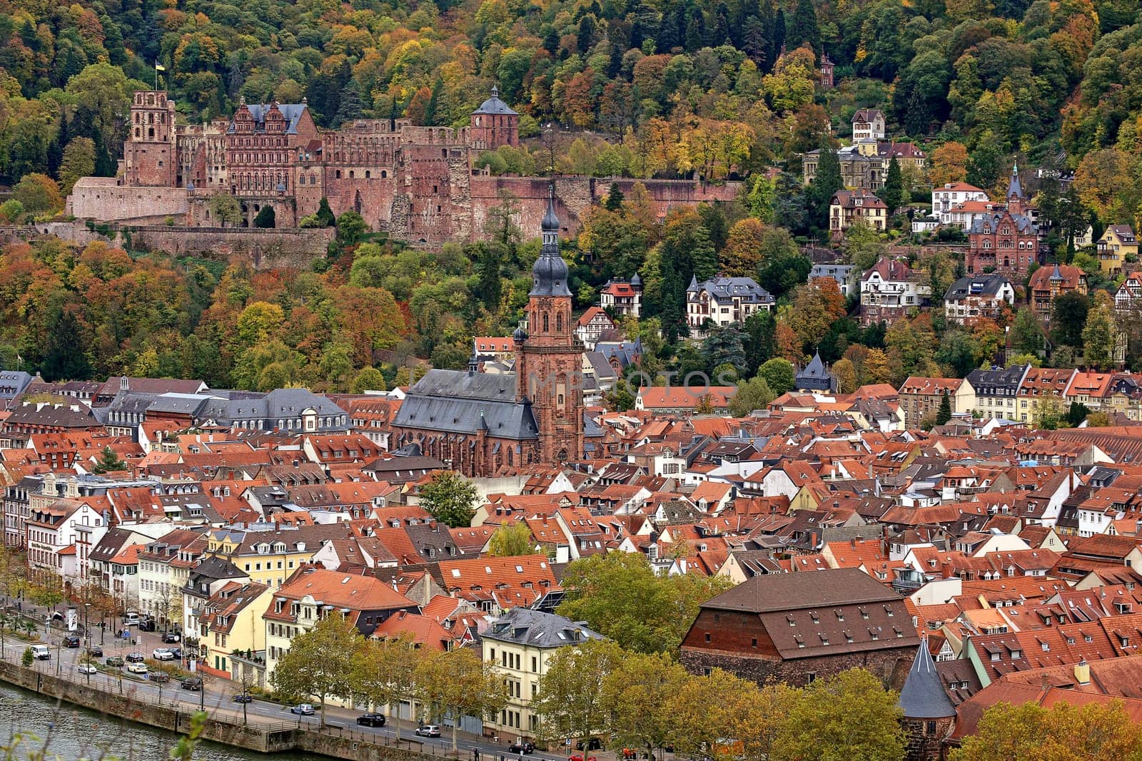 Heidelberg am Neckar with Castle and Church of the Holy Spirit in autumn 2018