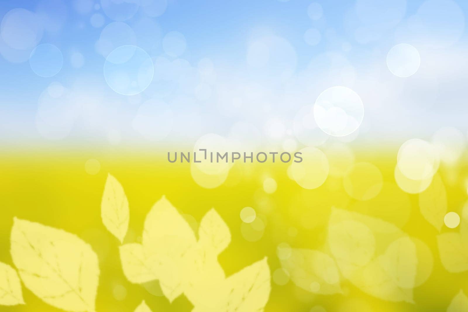 Autumn background. Abstract festive autumn gradient yellow blue bright background texture with leaves and bokeh circles. Space.