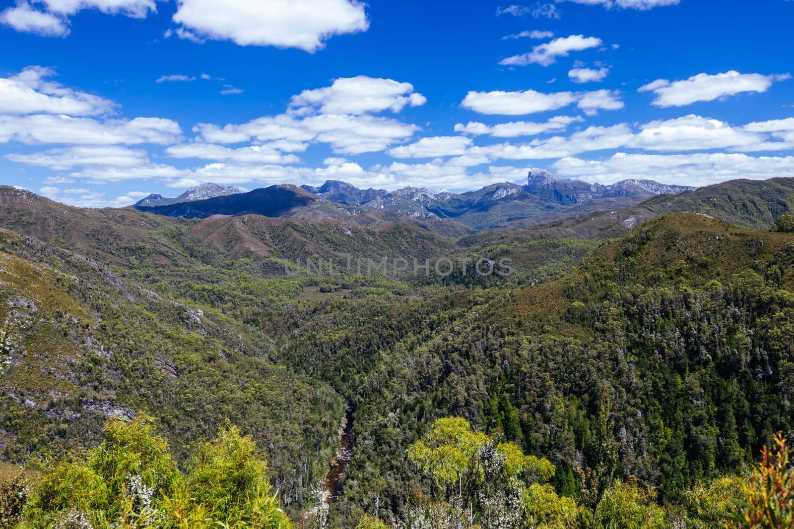 Donaghys Hill walk with Frenchmans Cap in the distance in Franklin-Gordon Wild Rivers National Park on a hot summer's day in Tasmania, Australia