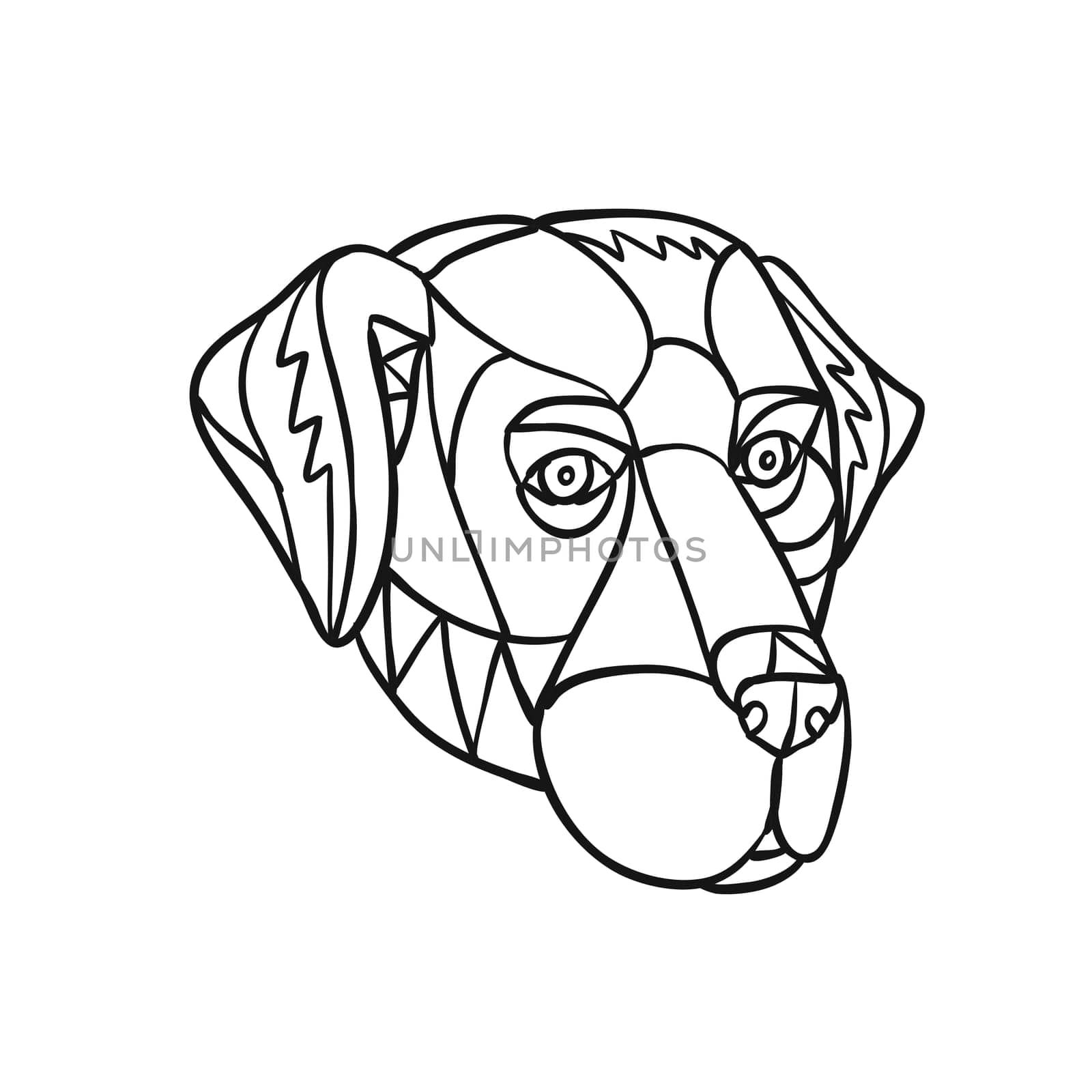Mosaic low polygon style illustration of head of a black lab, labrador retriever, or retriever-gun dog on isolated white background in Black and White.