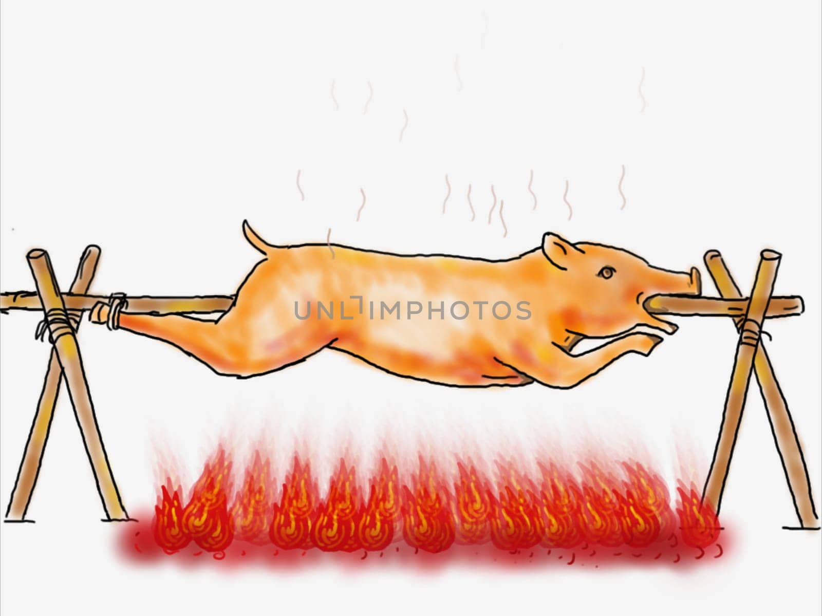2d Animation motion graphics showing a drawing of a pig or lechon placed over charcoal fire on the stick or rod turned in a rotisserie action, roasting on white background.