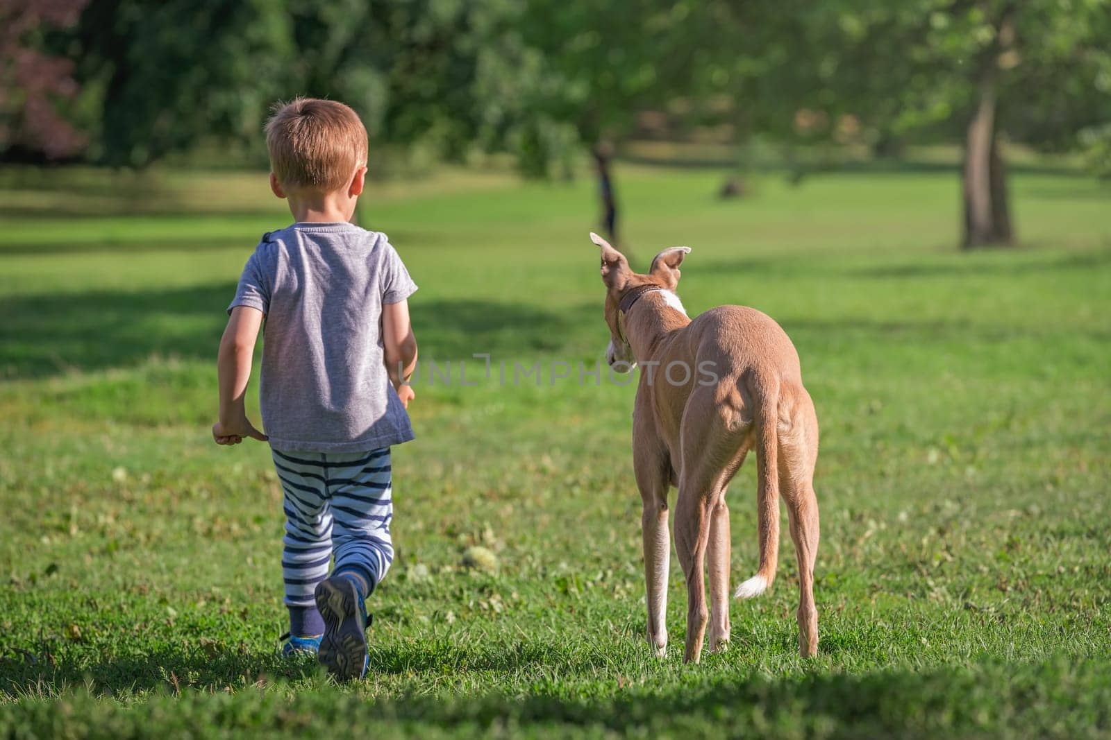 Portrait of a young caucasian boy waling in a park with a large dog
