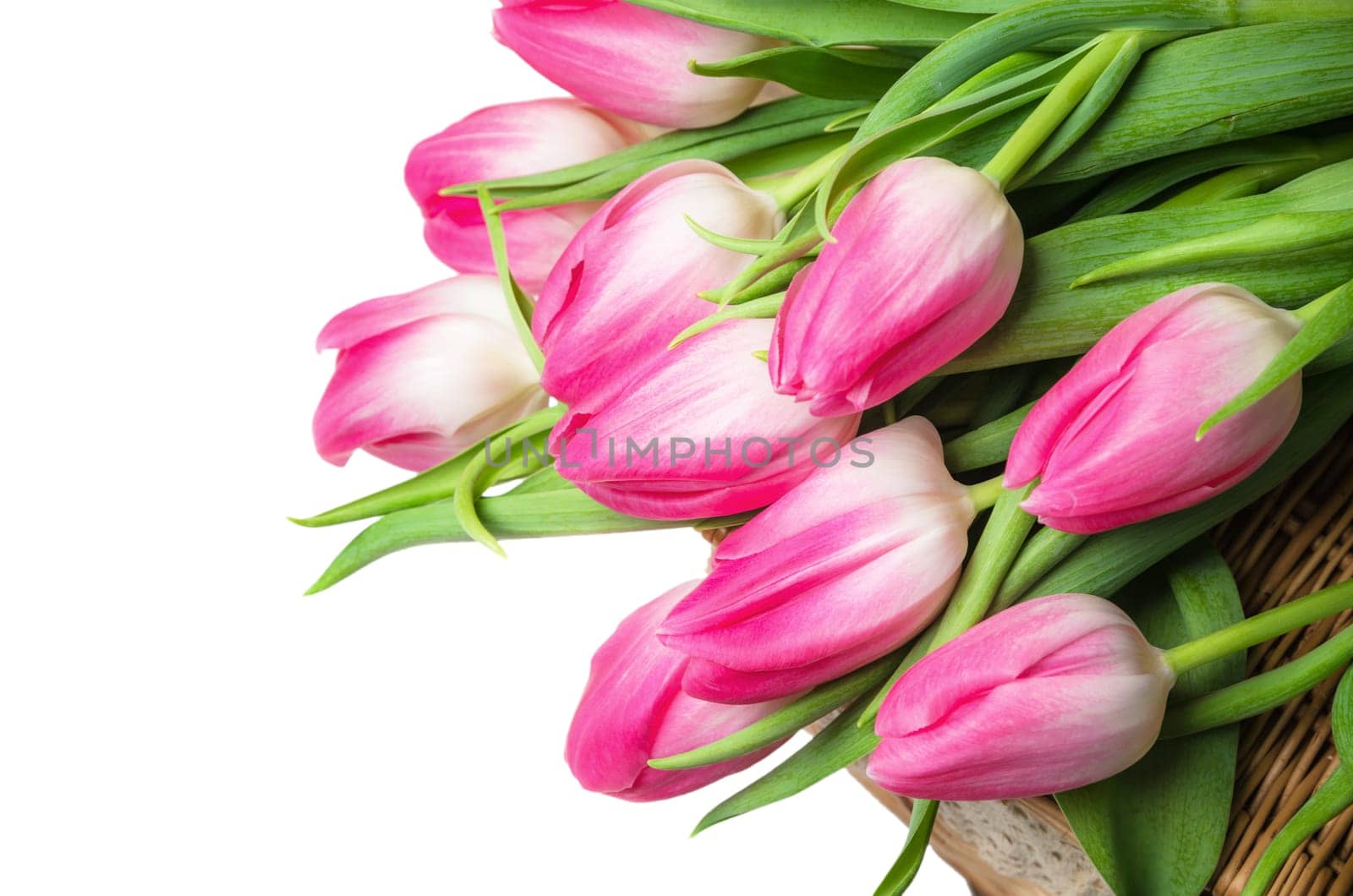 Beautiful bouquet from pink tulips