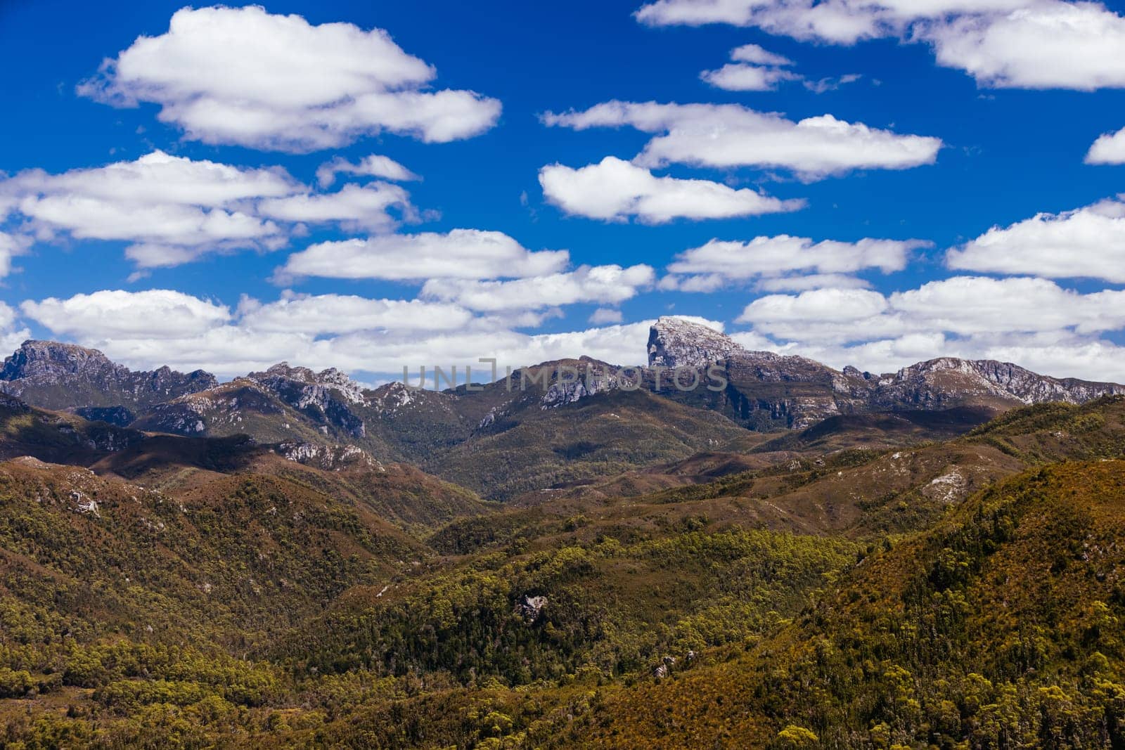 Donaghys Hill walk with Frenchmans Cap in the distance in Franklin-Gordon Wild Rivers National Park on a hot summer's day in Tasmania, Australia