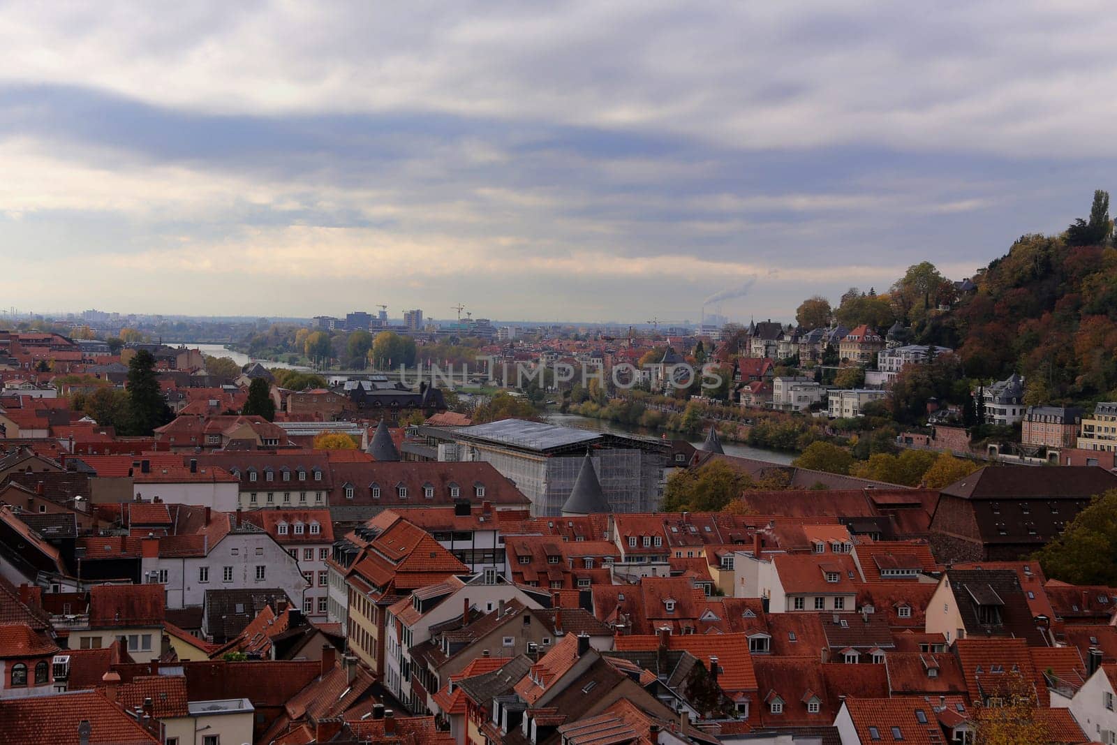 View over Heidelberg down the Neckar