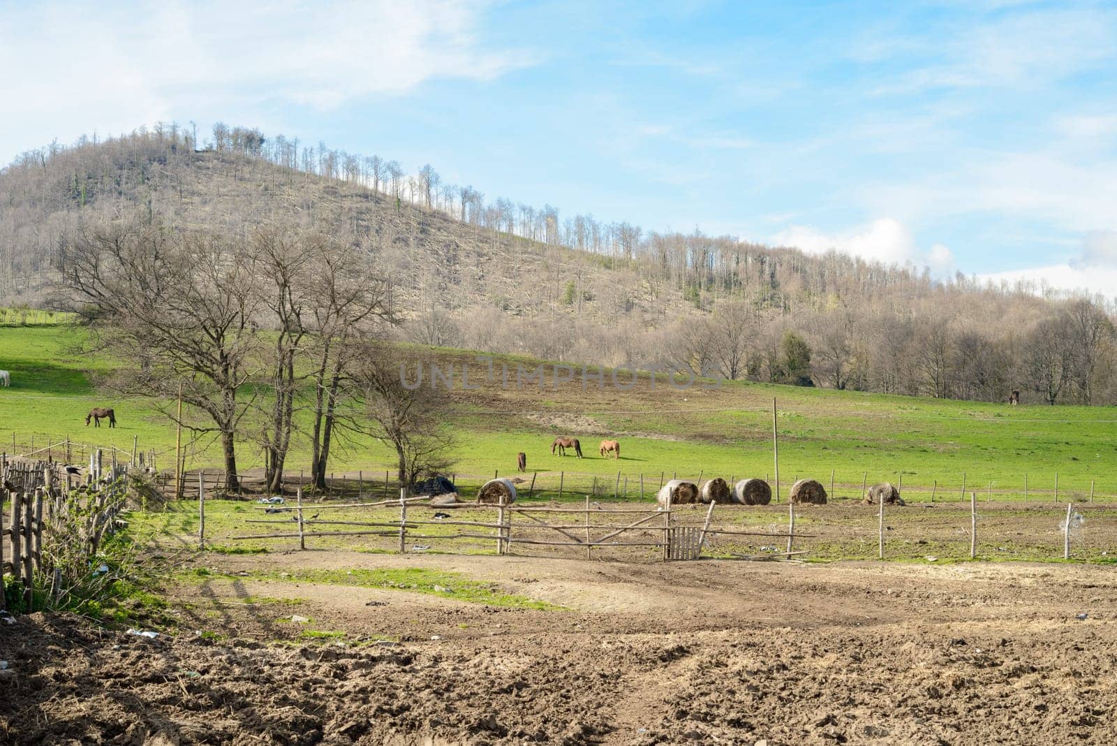 rural landscape with amazing sky and clouds, green hill and some horses in background