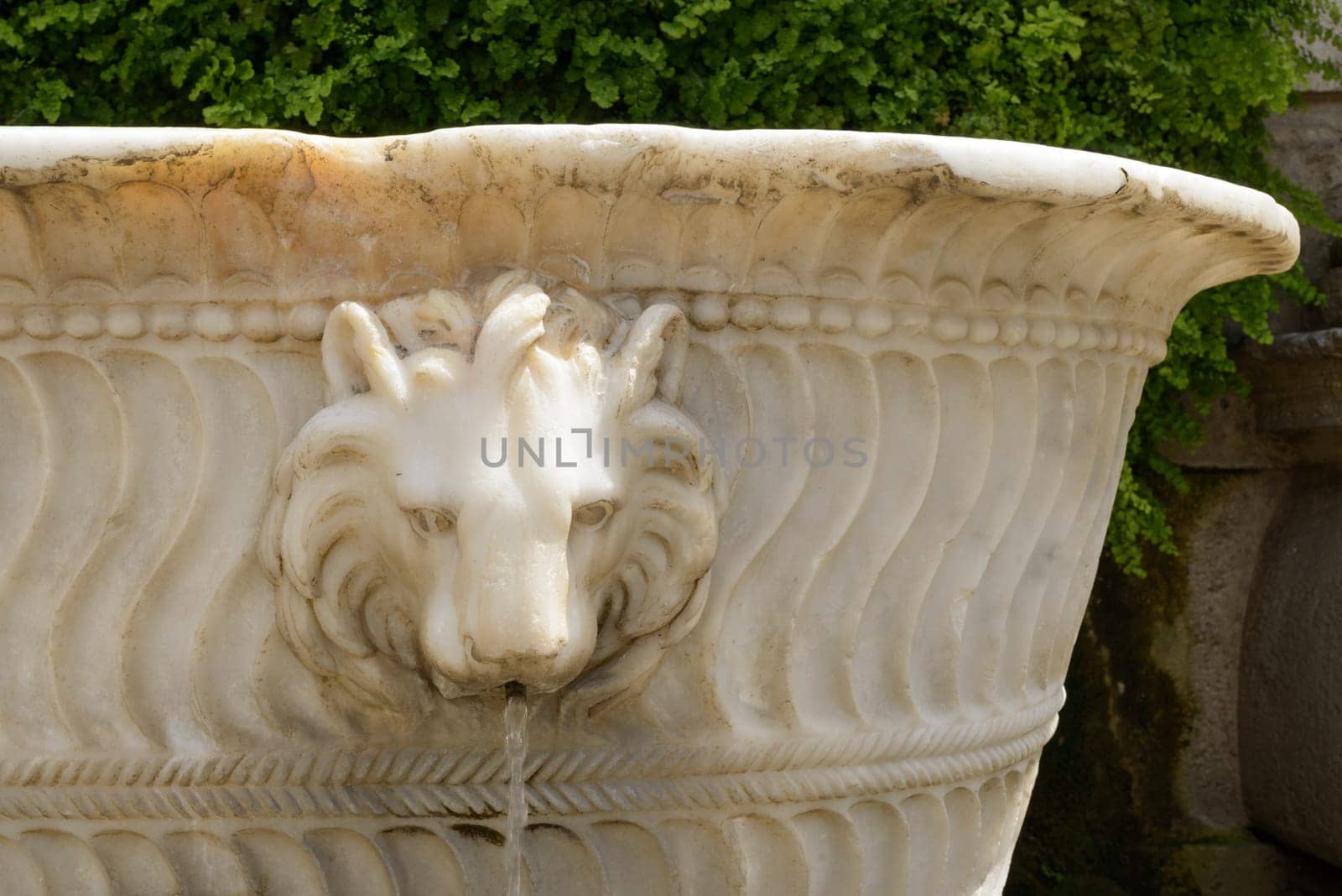 A marble lion head, particular of a fountain in Italy