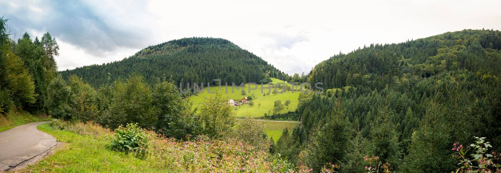 Panorama Black Forest - beautiful Landscape in Germany in Autumn