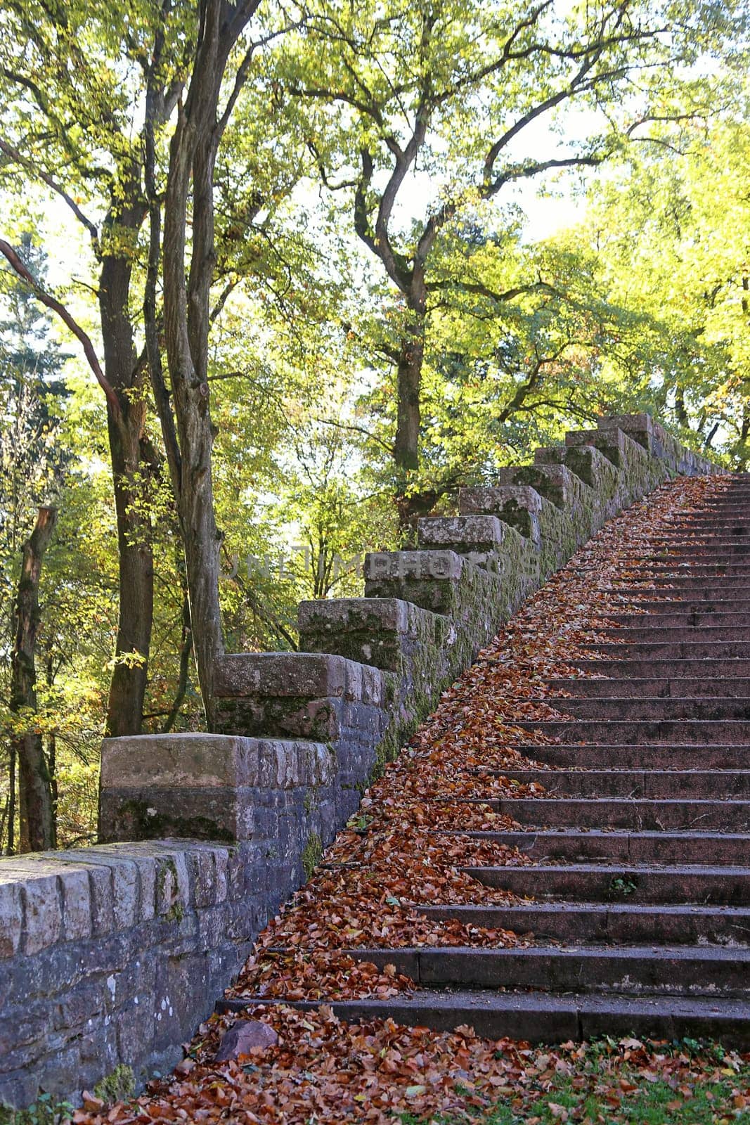 Staircase with autumn leaves at the Thingstätte on the Heiligenberg near Heidelberg