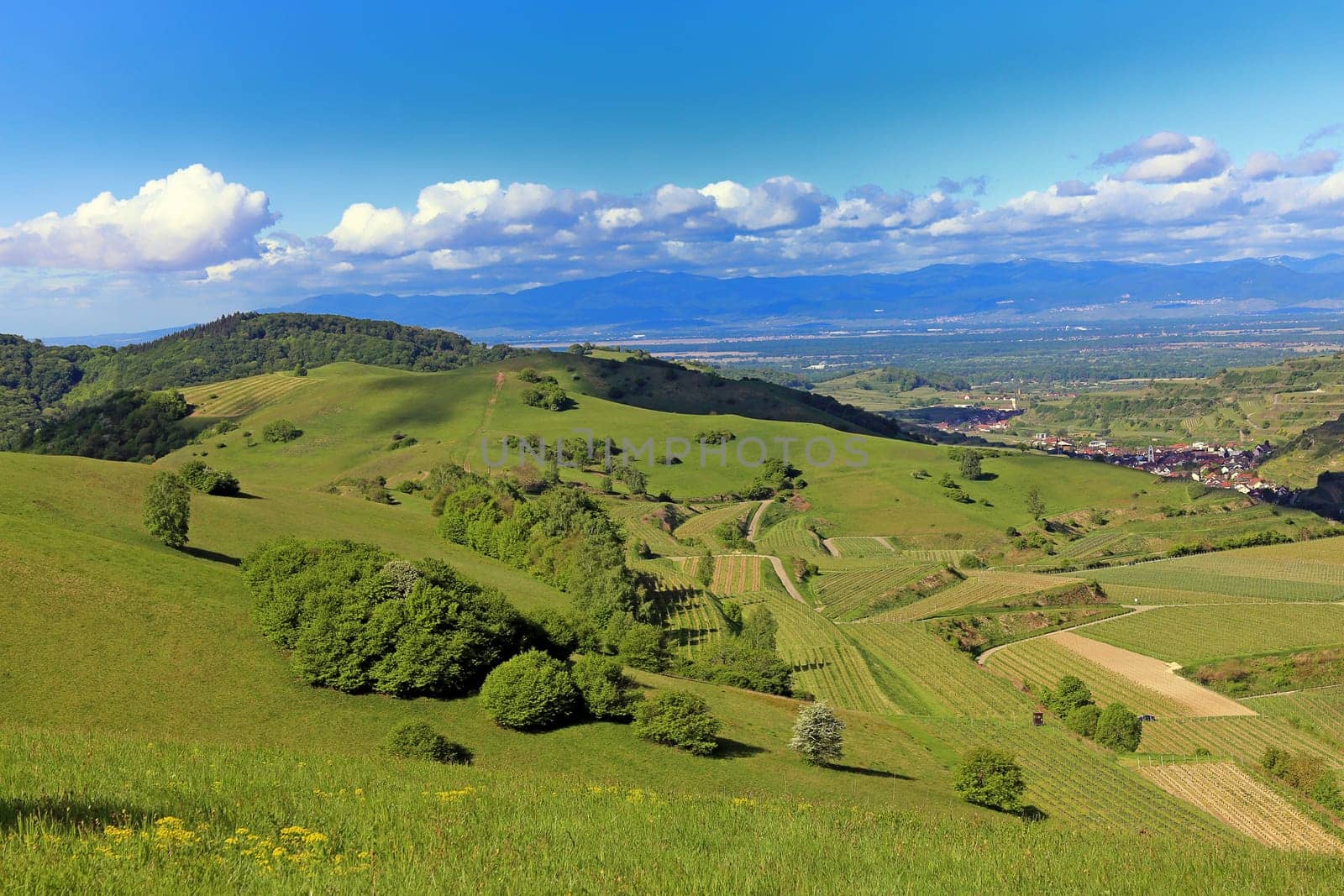 Landscape in the Kaiserstuhl towards Oberbergen and Oberrotweil