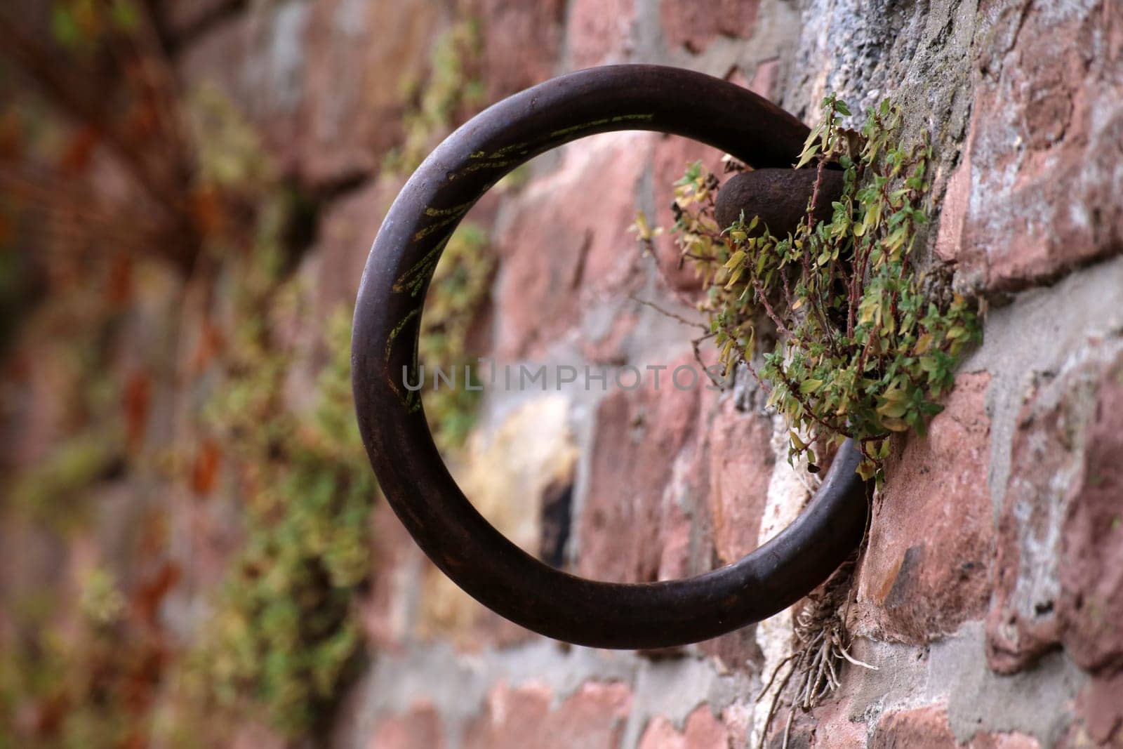Haltering for ships in red sandstone wall on the Neckar near Heidelberg