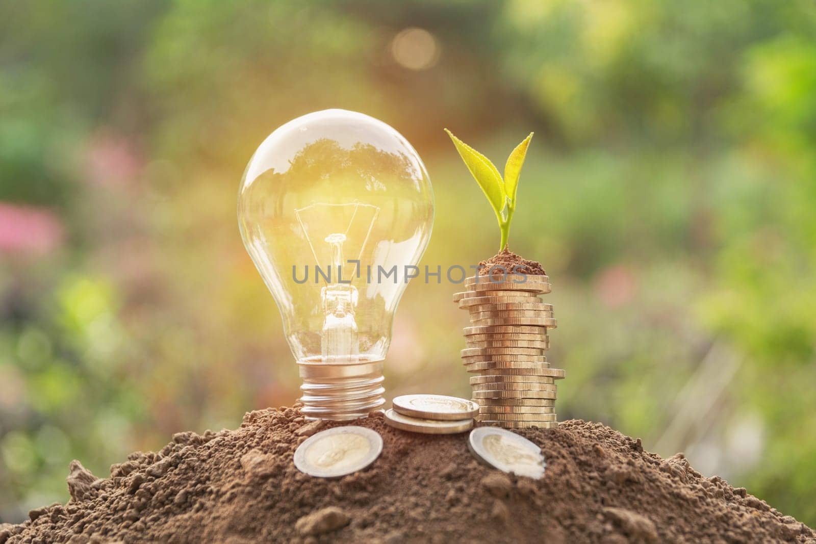 Energy saving light bulb and tree growing on stacks of coins on nature background. Saving, accounting and financial concept.