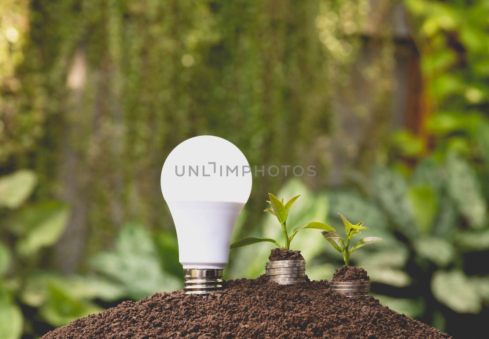Energy saving light bulb and tree growing on stacks of coins on nature background. Saving, accounting and financial concept.
