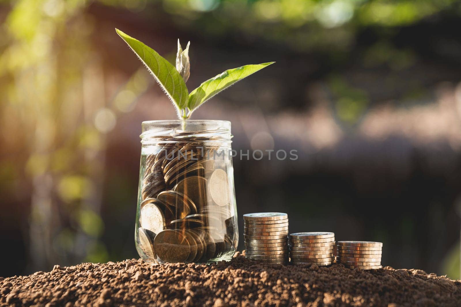 Coins in jar with money stack step growing money, Concept finance business and saving investment.