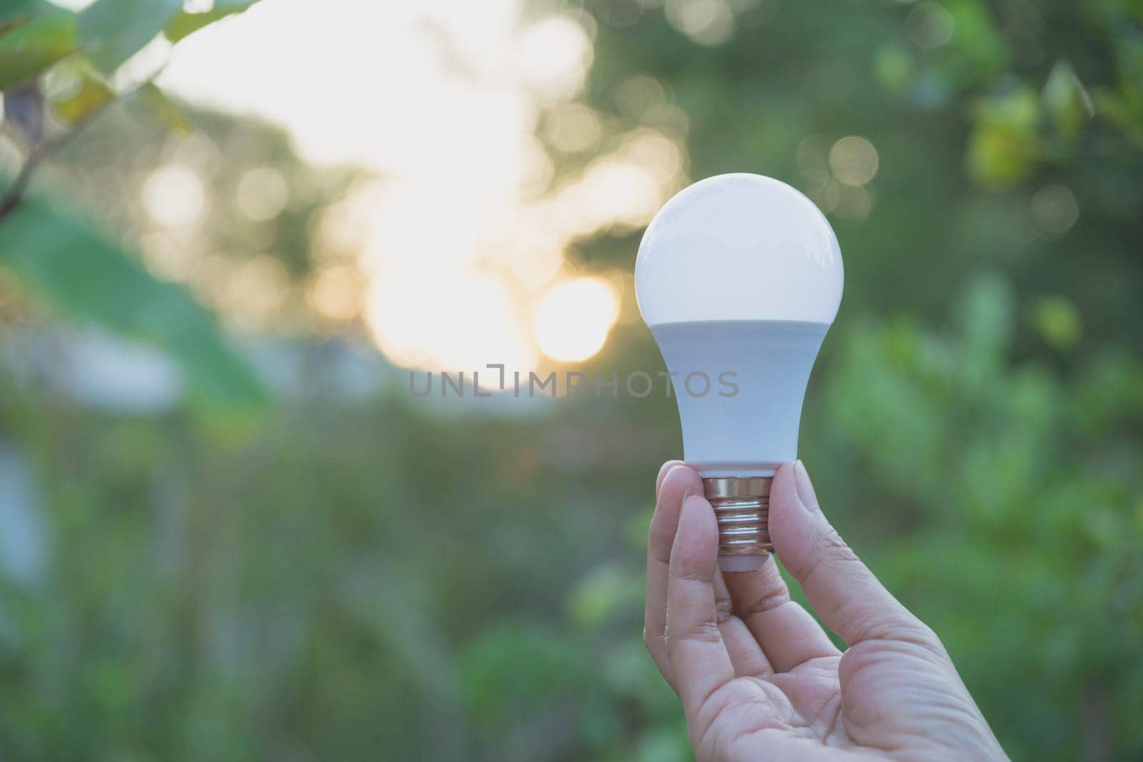 Hand of person holding light bulb for idea or success or solar energy