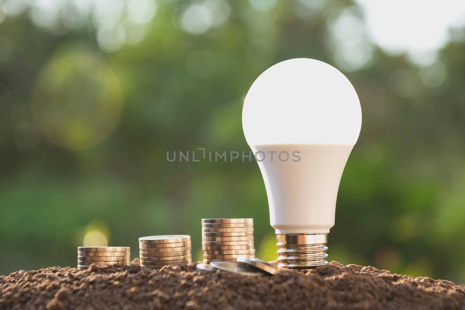 Energy saving light bulb and tree growing on stacks of coins on nature background. Saving, accounting and financial concept.