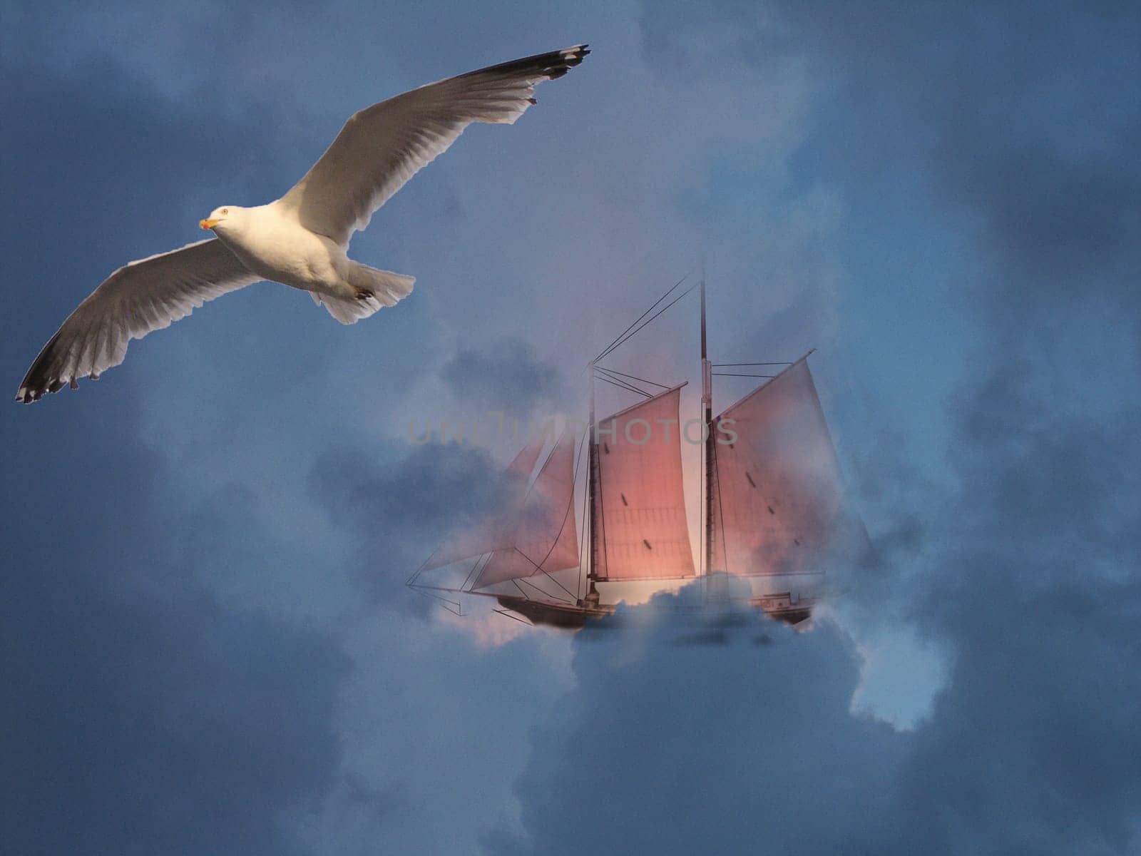 Sailboat and seagull in the blue sky