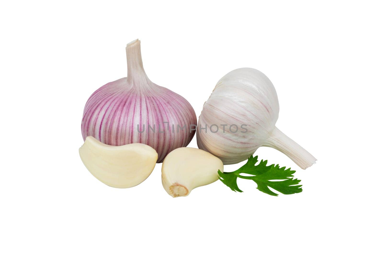 Fresh garlic and leaves isolated on white background.