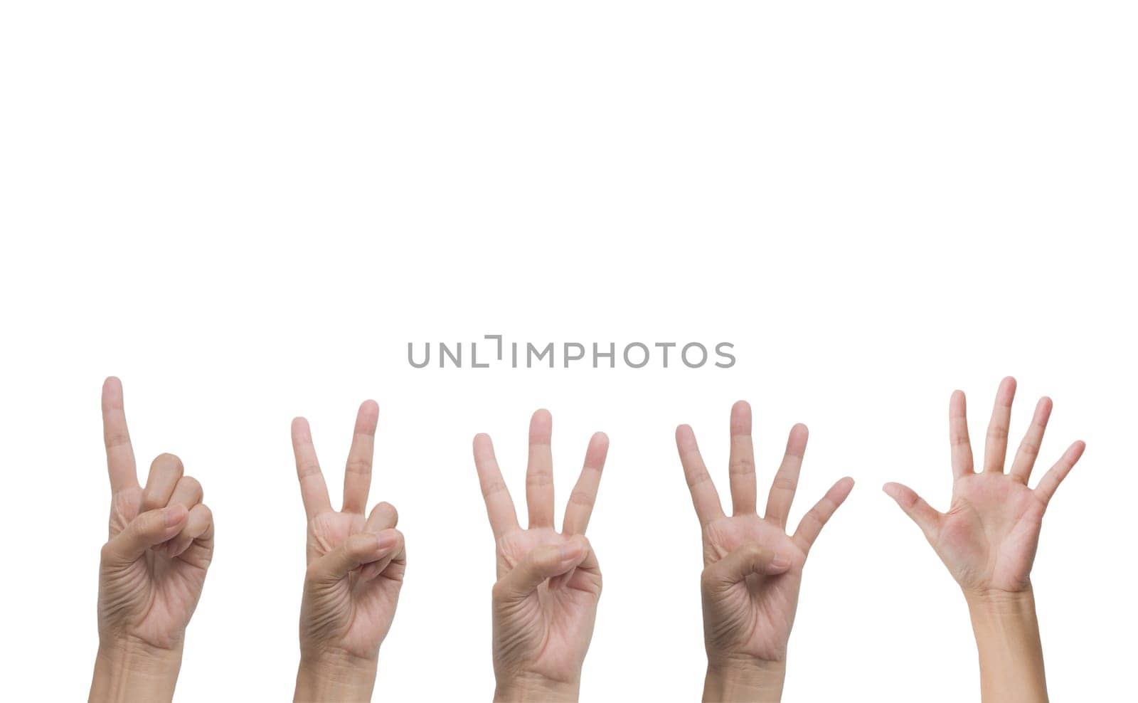 Set of hand gesture and sign collection isolated on white background. Multiple hand gestures.