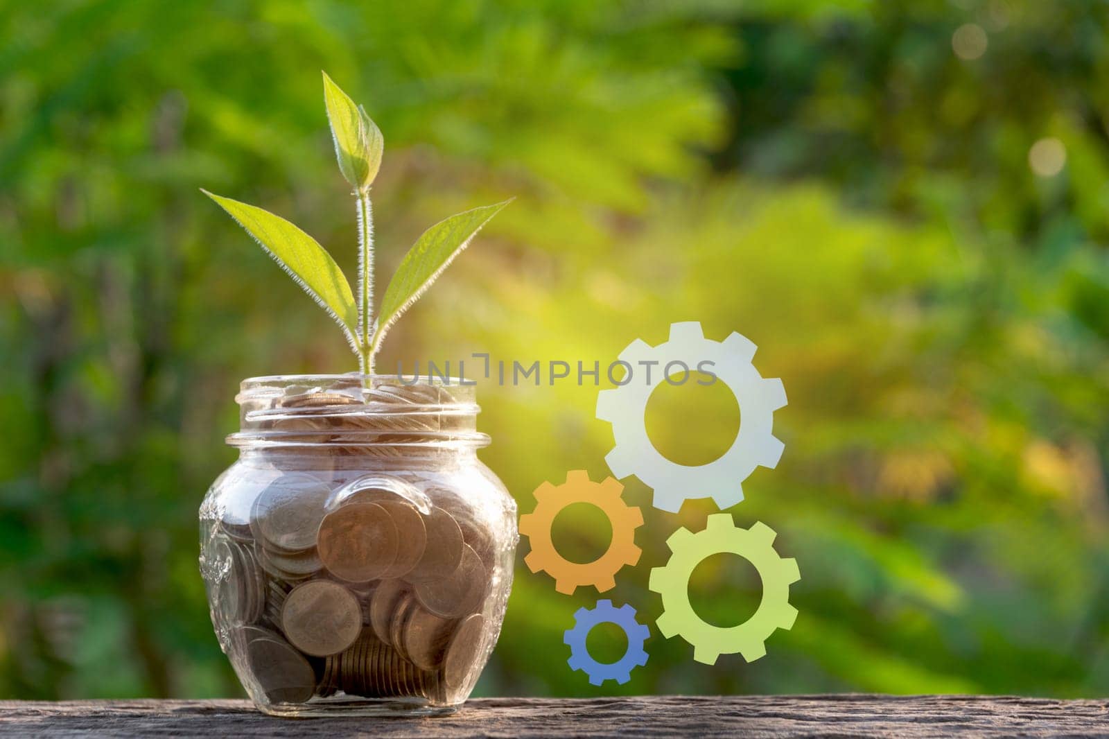 Saving money with coin in glass jar and green plant for business and accounting concept on nature background.
