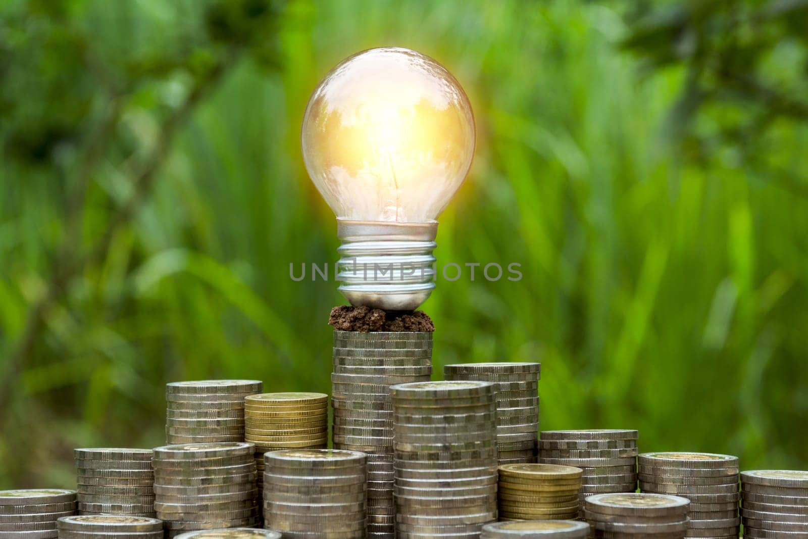 Energy saving light bulb and tree growing on stacks of coins on nature background. Saving, accounting and financial concept.