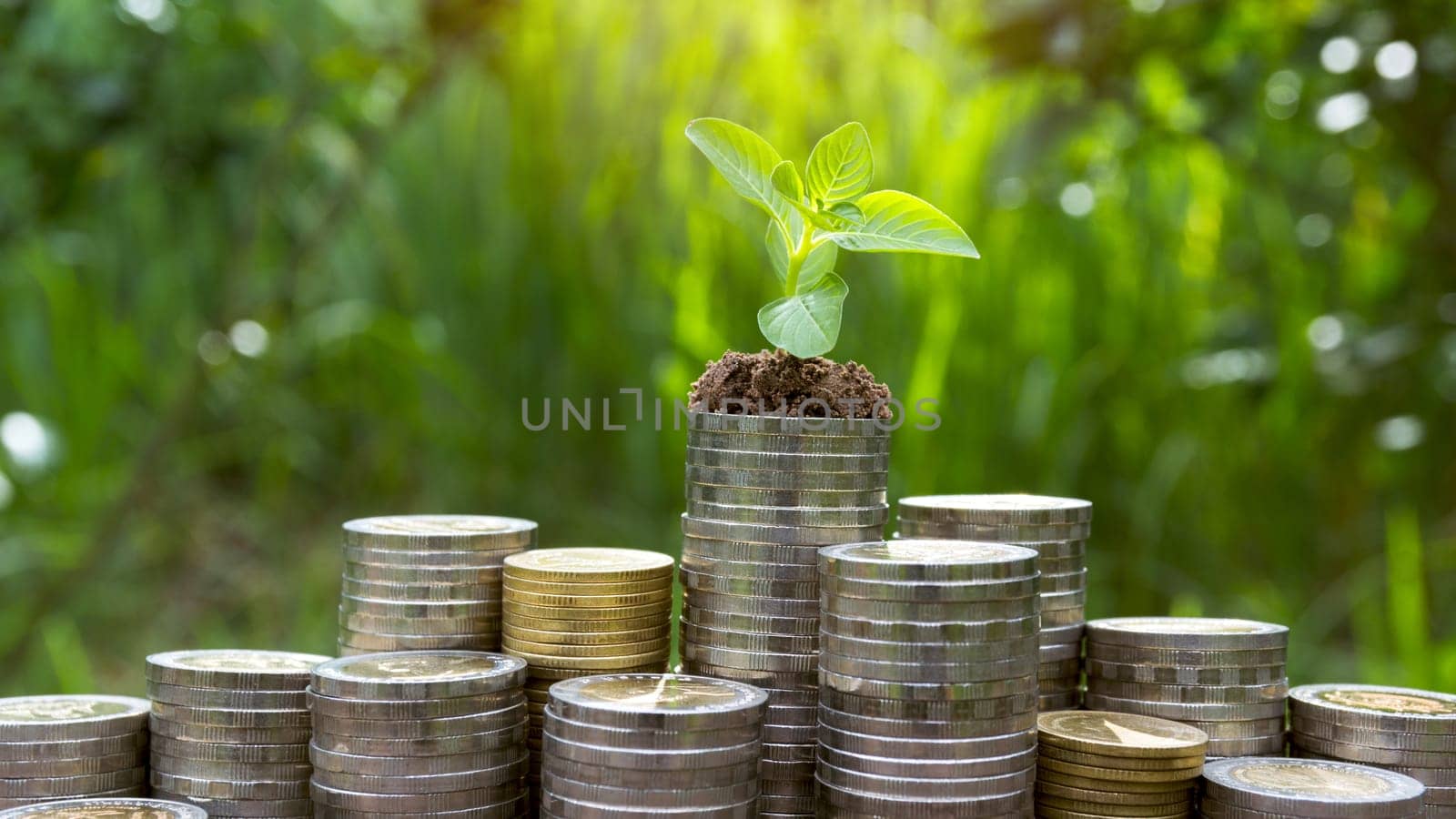 Saving money concept with money coin stack growing for business. financial and accounting concept.