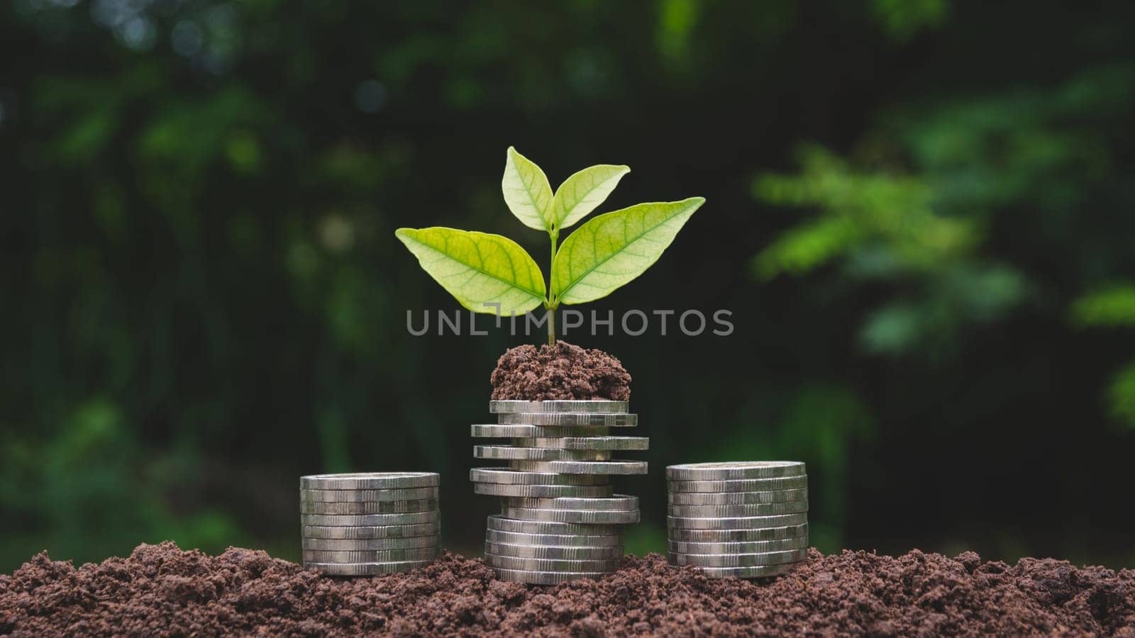 Saving money concept with money coin stack growing for business. financial and accounting concept.
