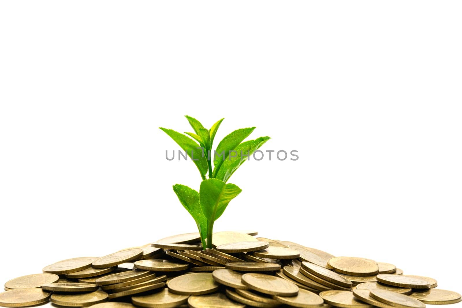Saving money concept with money coin stack isolated on white background. financial and accounting concept.