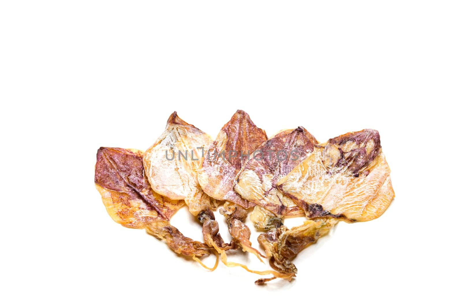 Grilled squid isolated on white background. Sea food of Thailand.