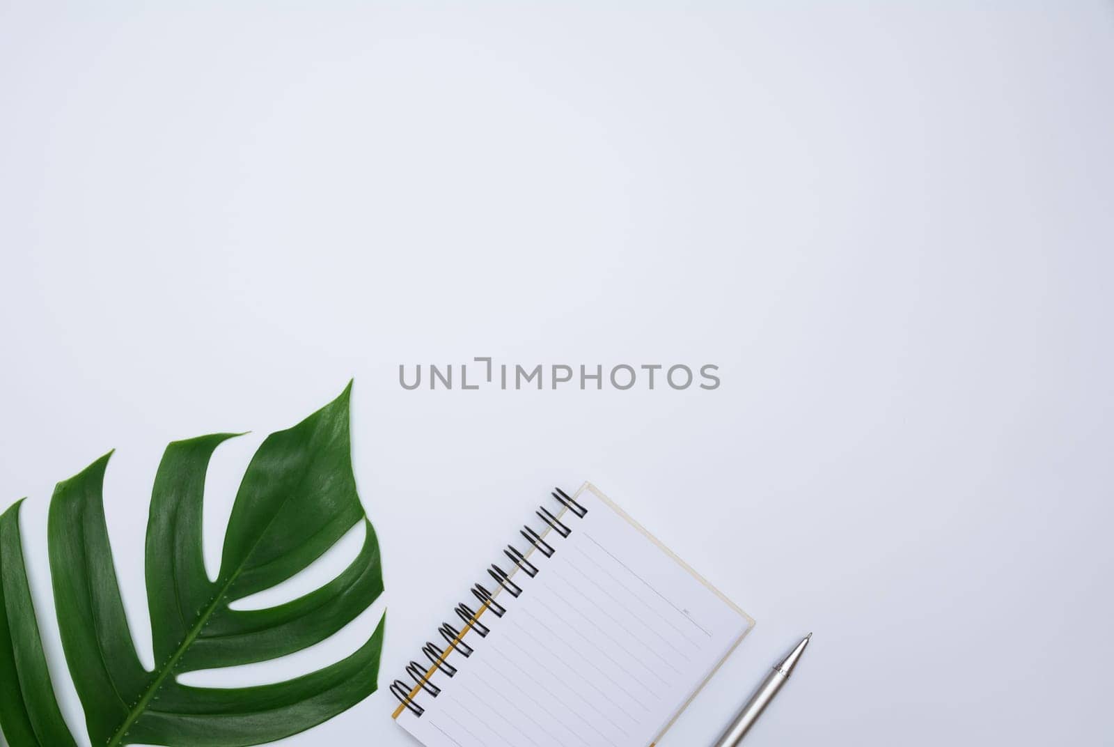 Top view of open book. Book open with pen on white background and copy space for insert text.