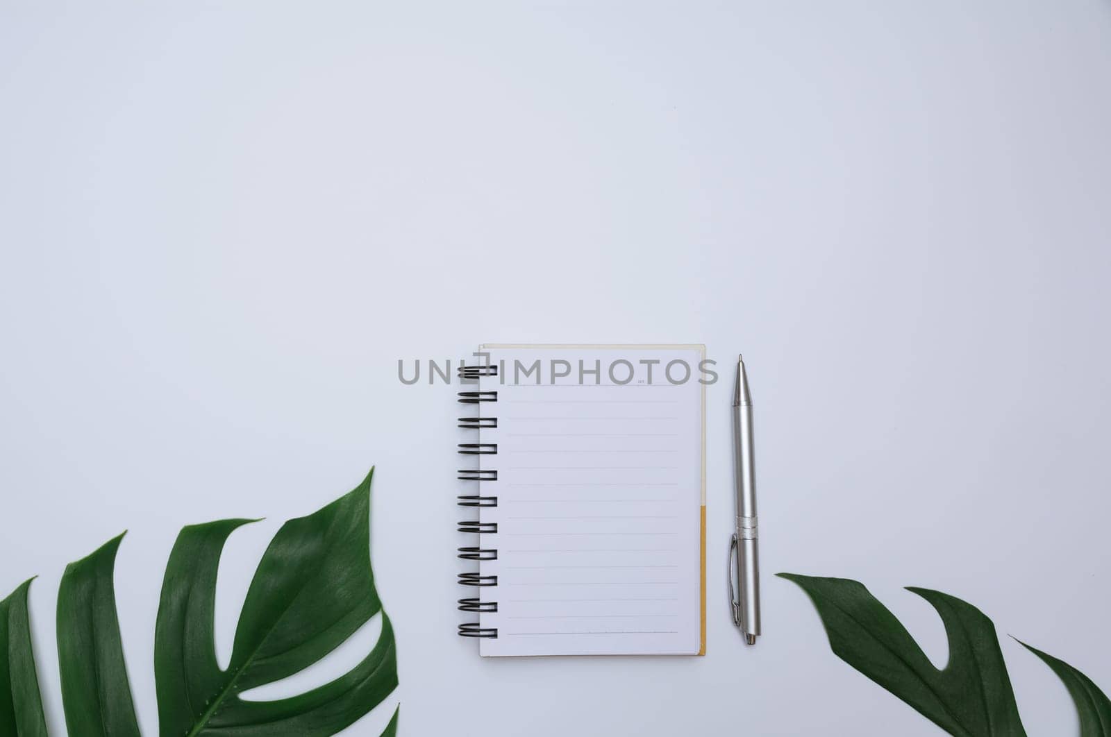 Top view of open book. Book open with pen on white background and copy space for insert text.