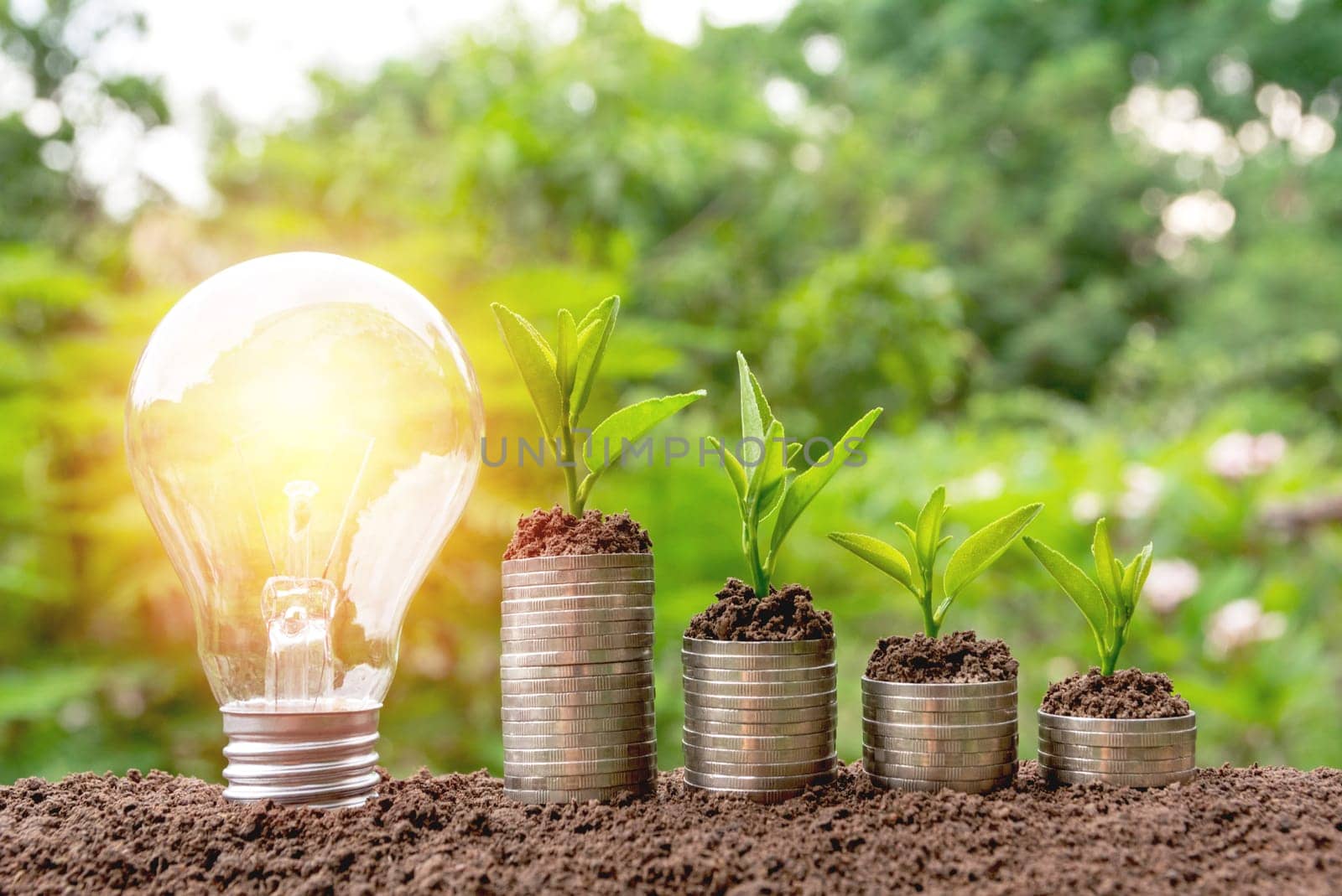 Energy saving light bulb and tree growing on stacks of coins on nature background. Saving, accounting and financial concept.