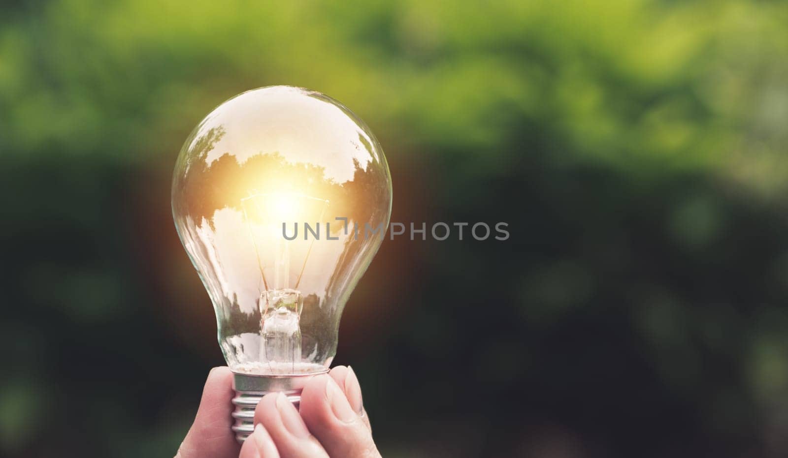 Hand holding light bulbs with glowing on nature background. Idea, creativity and saving energy with light bulbs concept.