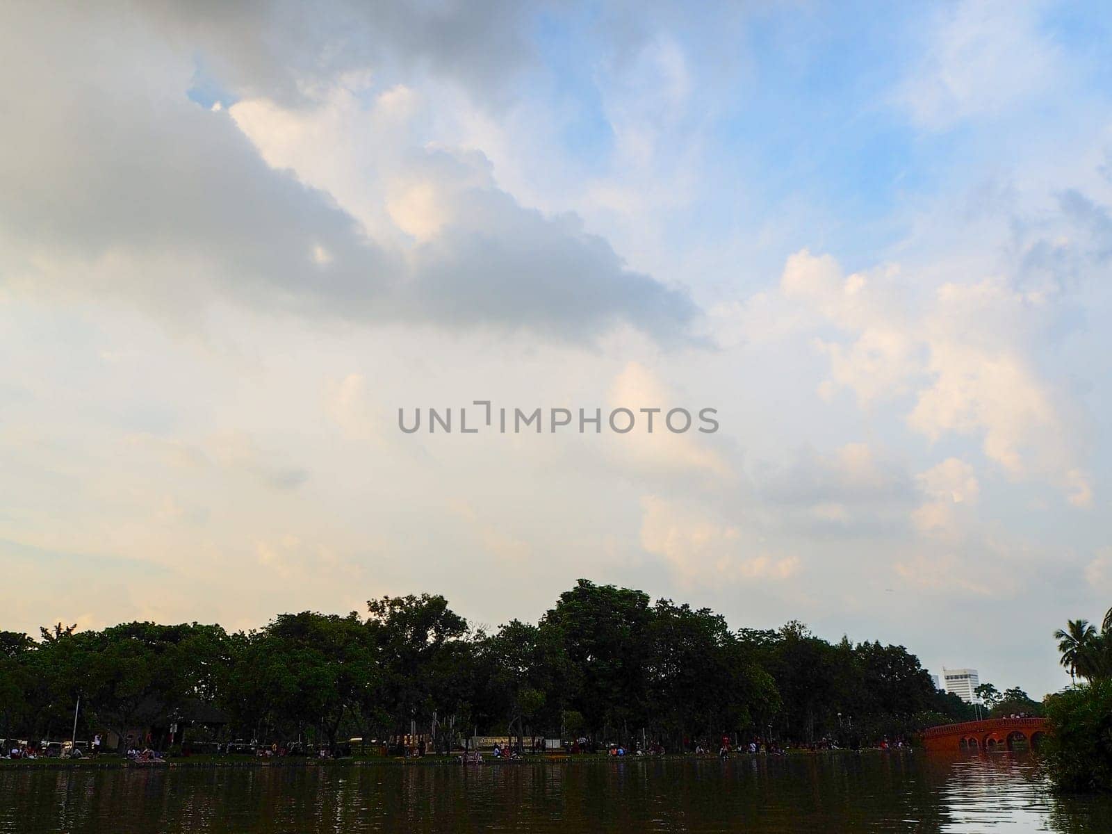 Trees on cloudy with sky at evening background silhouette style.