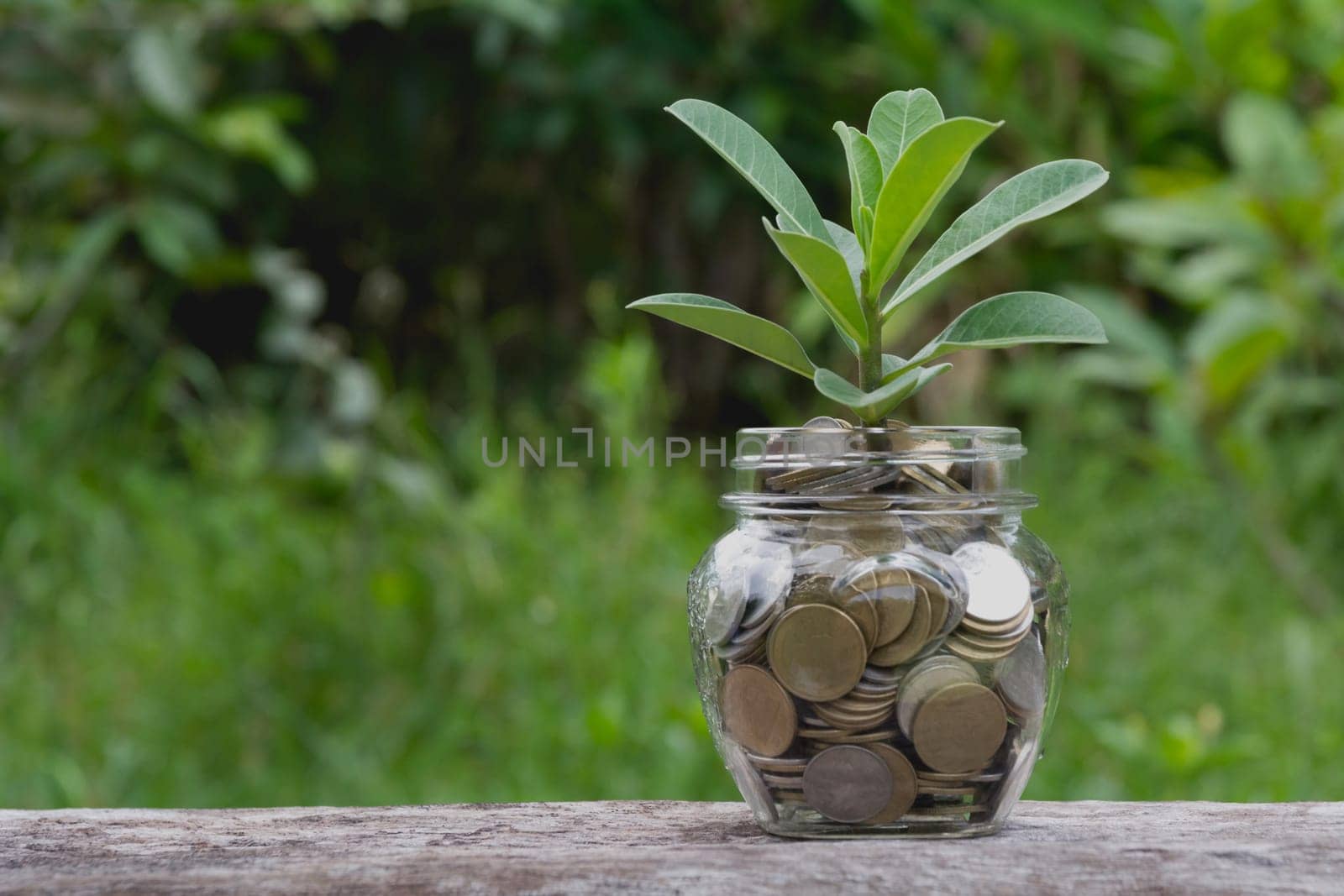 Saving money concept with money coin in glass jar for financial and accounting. financial and accounting concept.