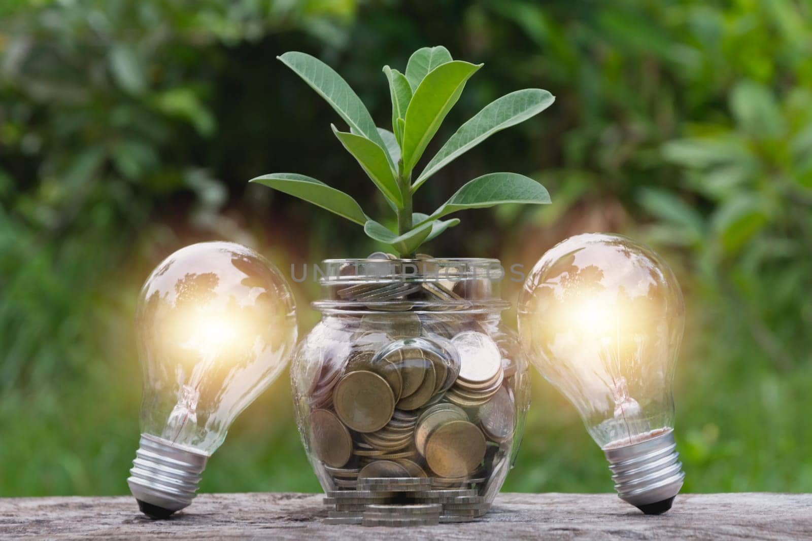 Energy saving light bulb and tree growing on stacks of coins on nature background. Saving, accounting and financial concept.