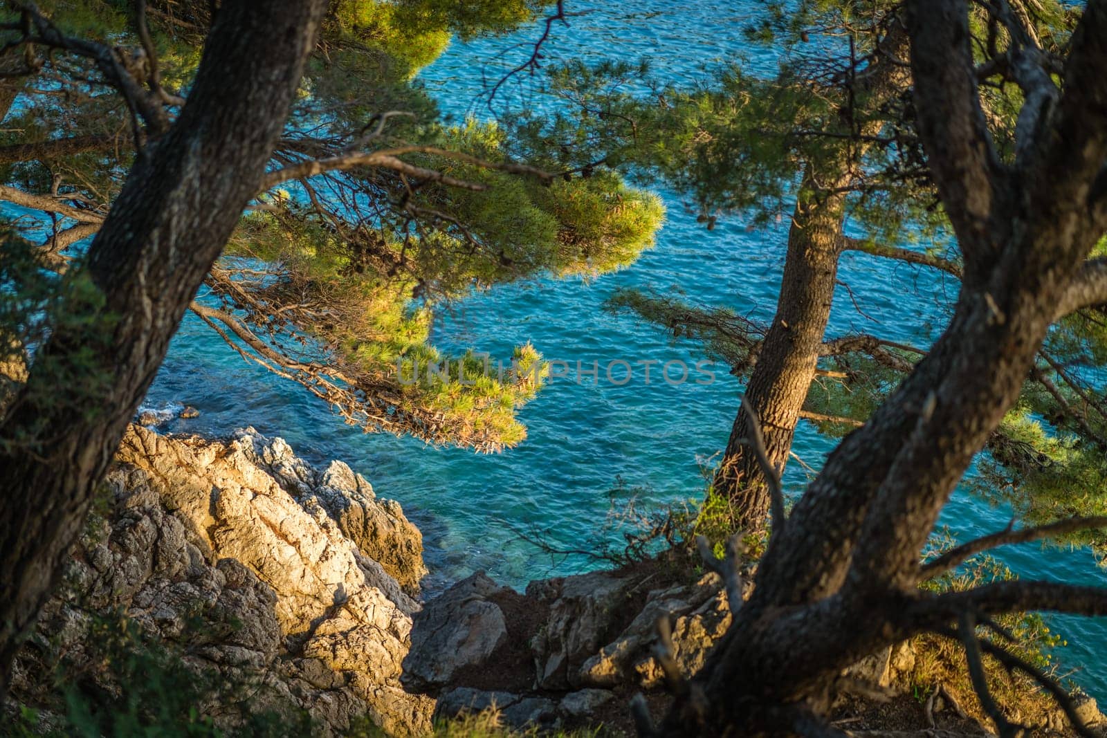 Beautiful rocky Croatian coast in Dubrovnik, Croatia