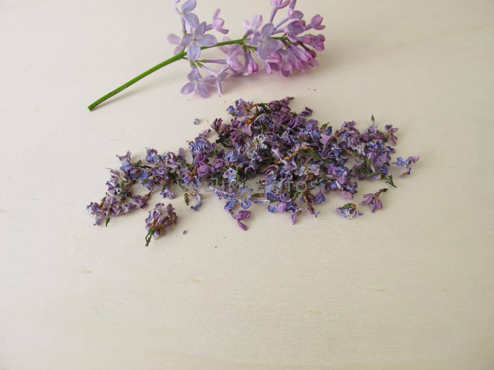 Dried lilac flowers on wooden board