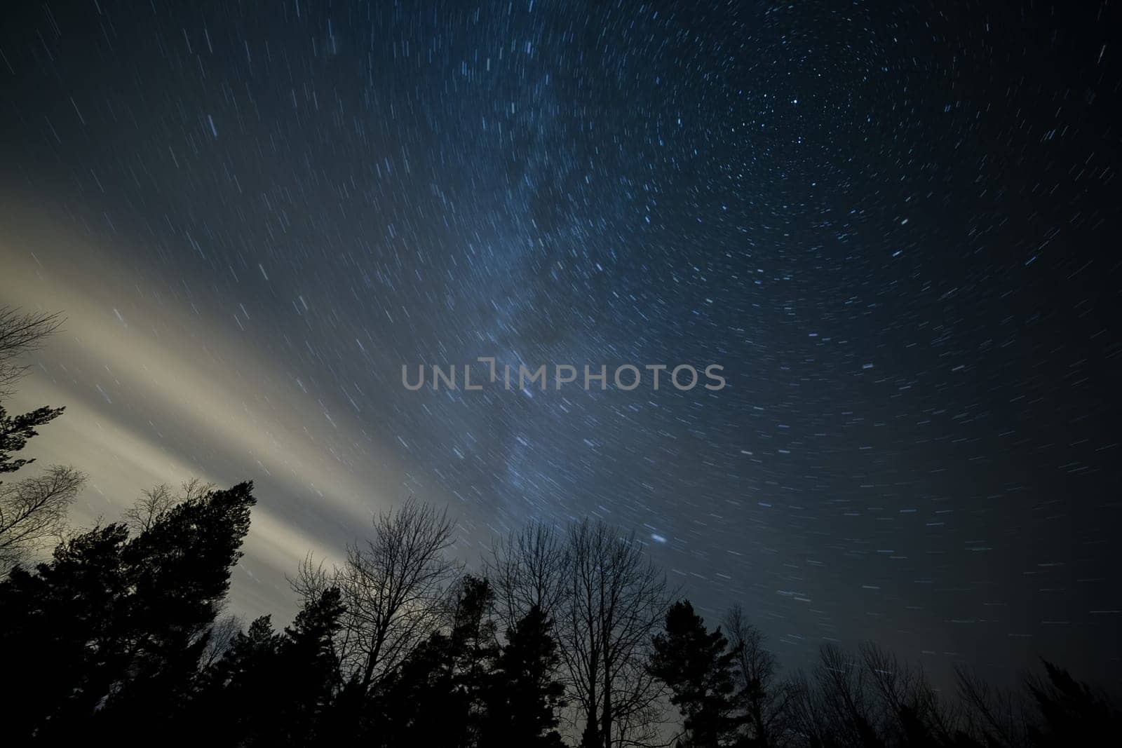Strar Trails with the North Star and trees.