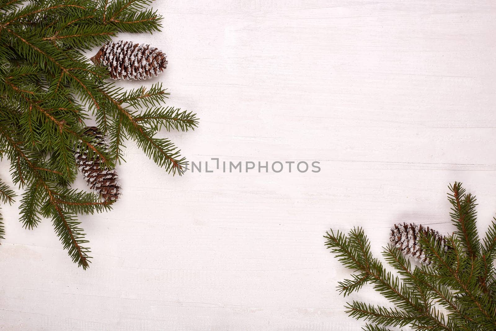 White wooden background with fir branches and cones. New Year and Christmas