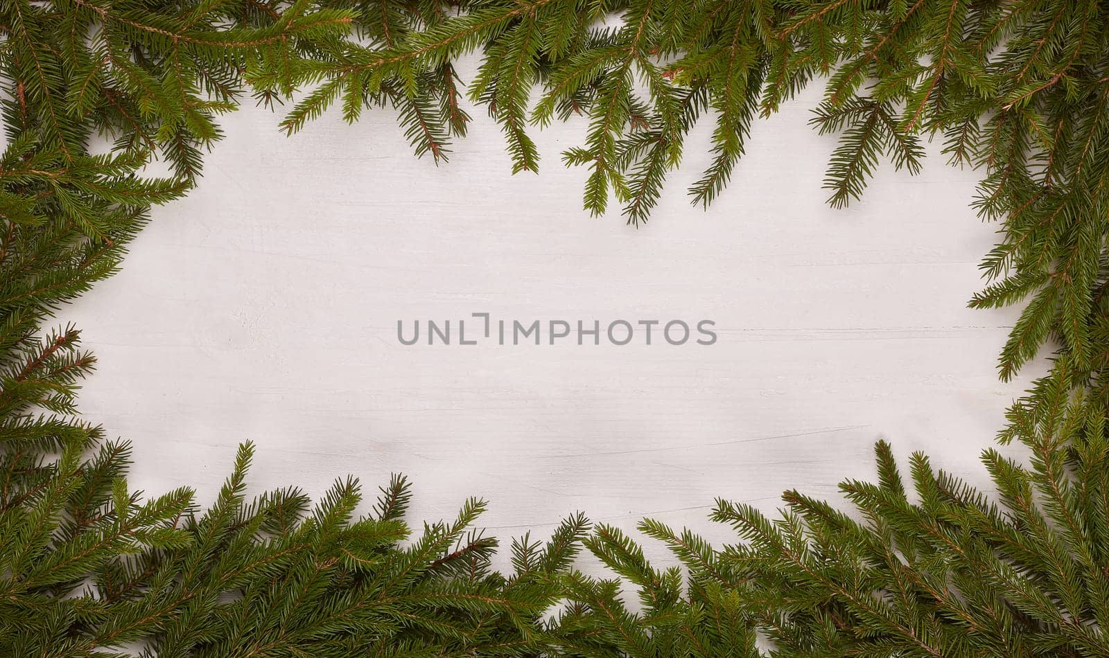 White wooden background with frame from fir branches. New Year and Christmas