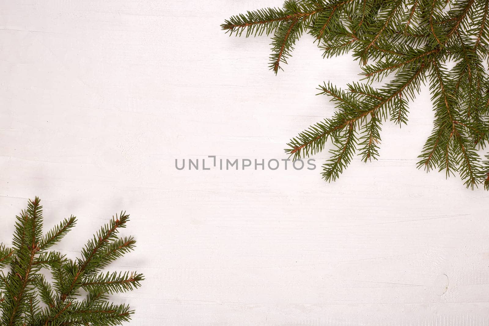 White wooden background with fir branches. New Year and Christmas