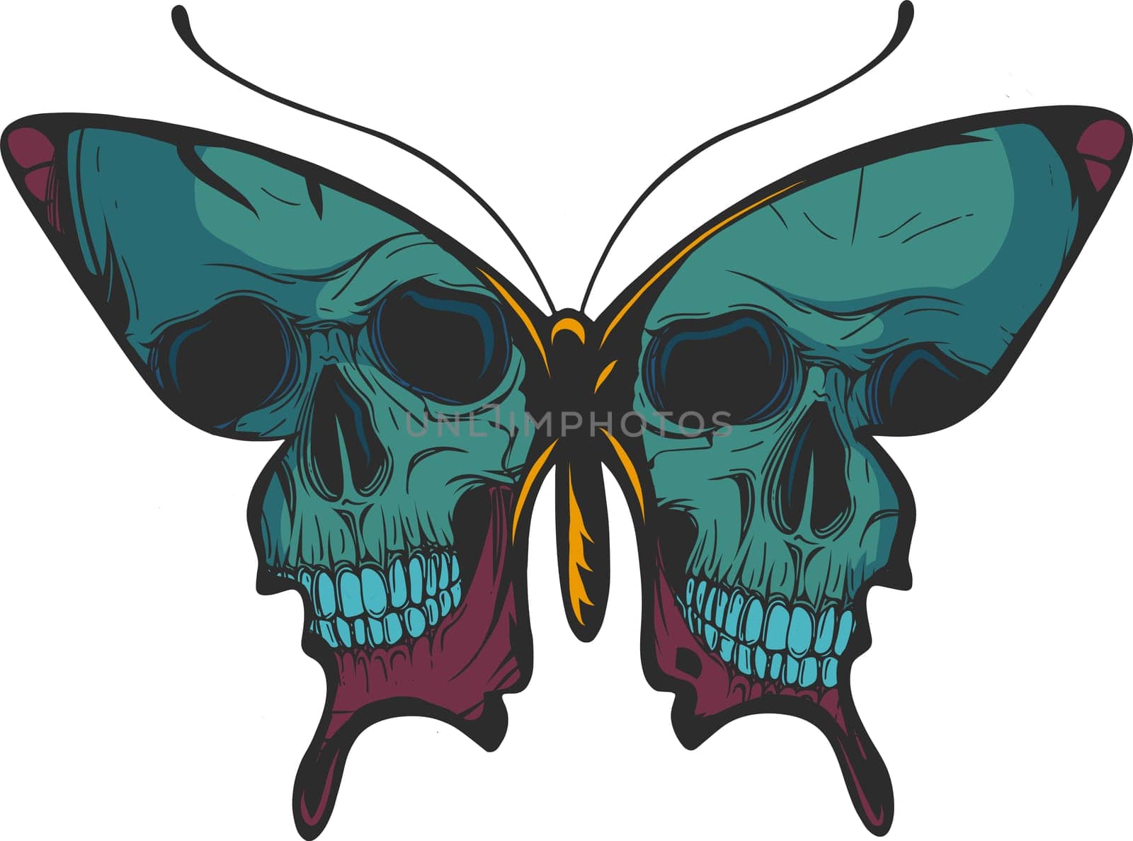 a colorful butterfly Morpho didius